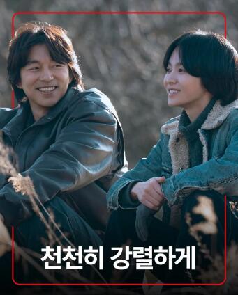 20260411235530.jpg 20260411235530.jpg