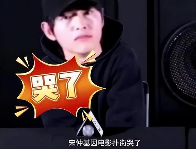 宋慧乔离婚后事业逆袭_宋慧乔_宋慧乔单身生活状态